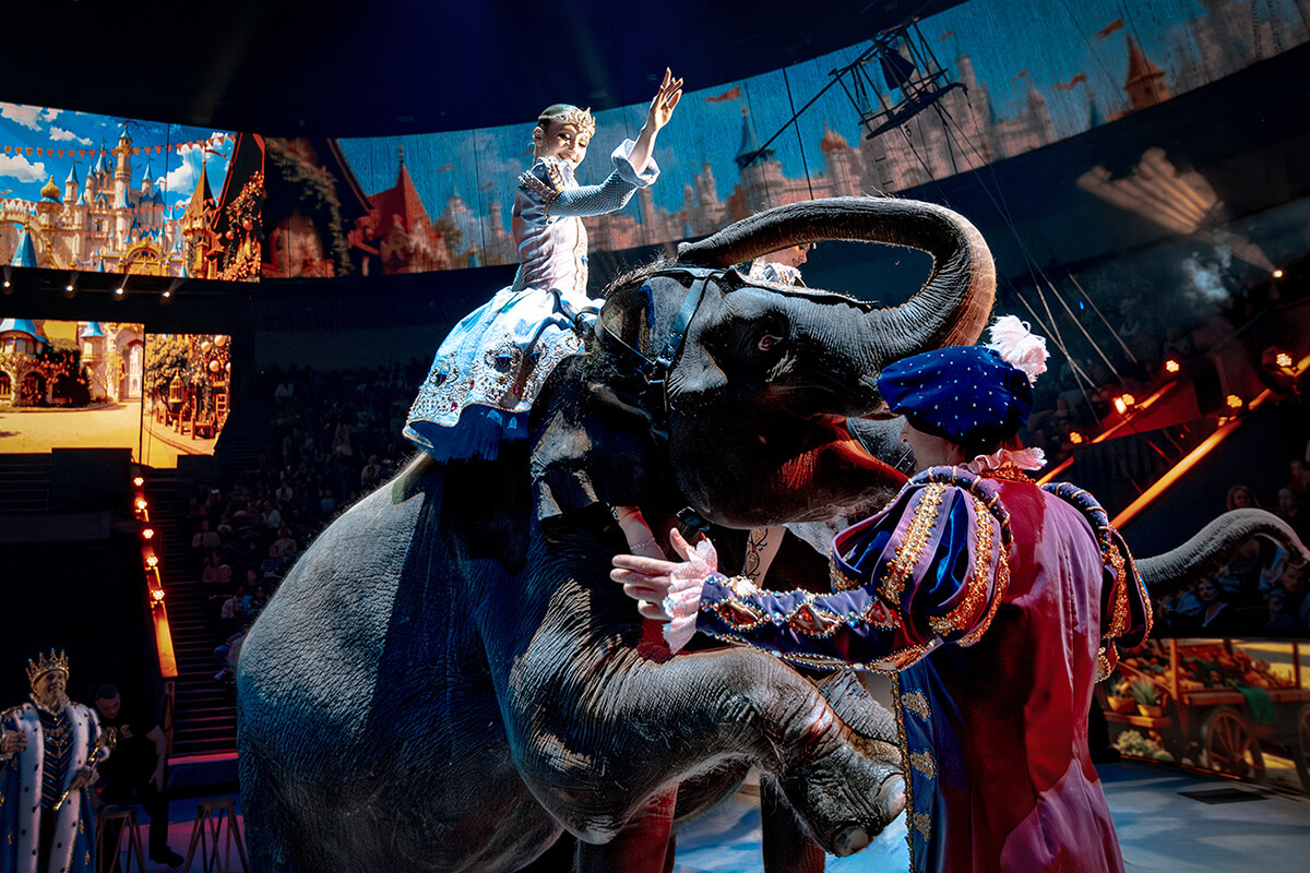 Сказка о белоснежке и семи гномах