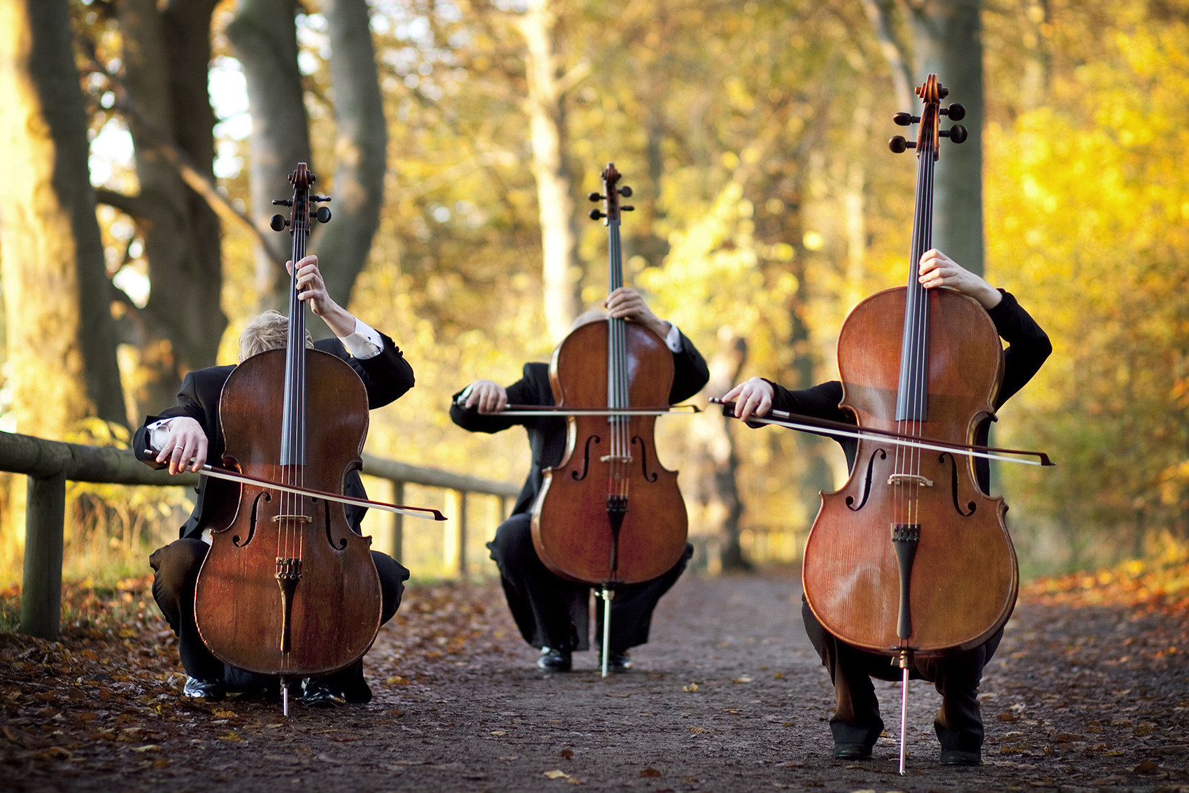 Мировые рок-хиты на виолончелях. Magic Cellos Band